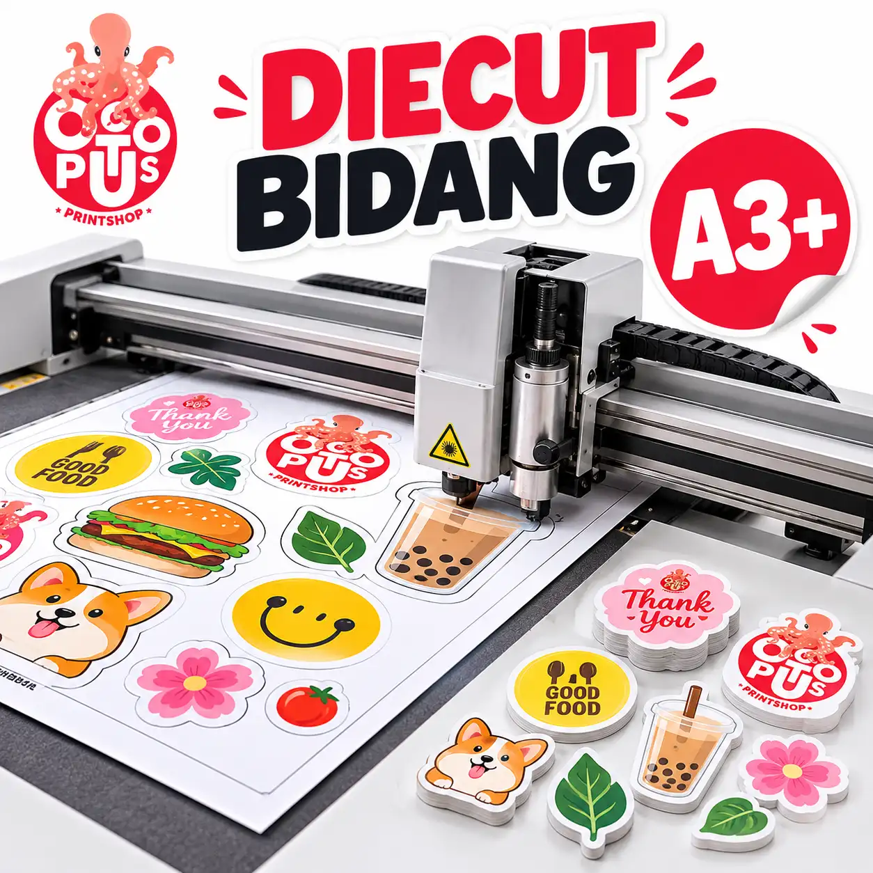 Diecut bidang A3+
