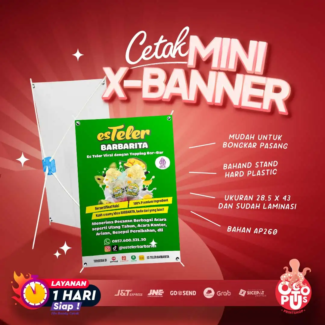 Mini Xbanner 25x40cm